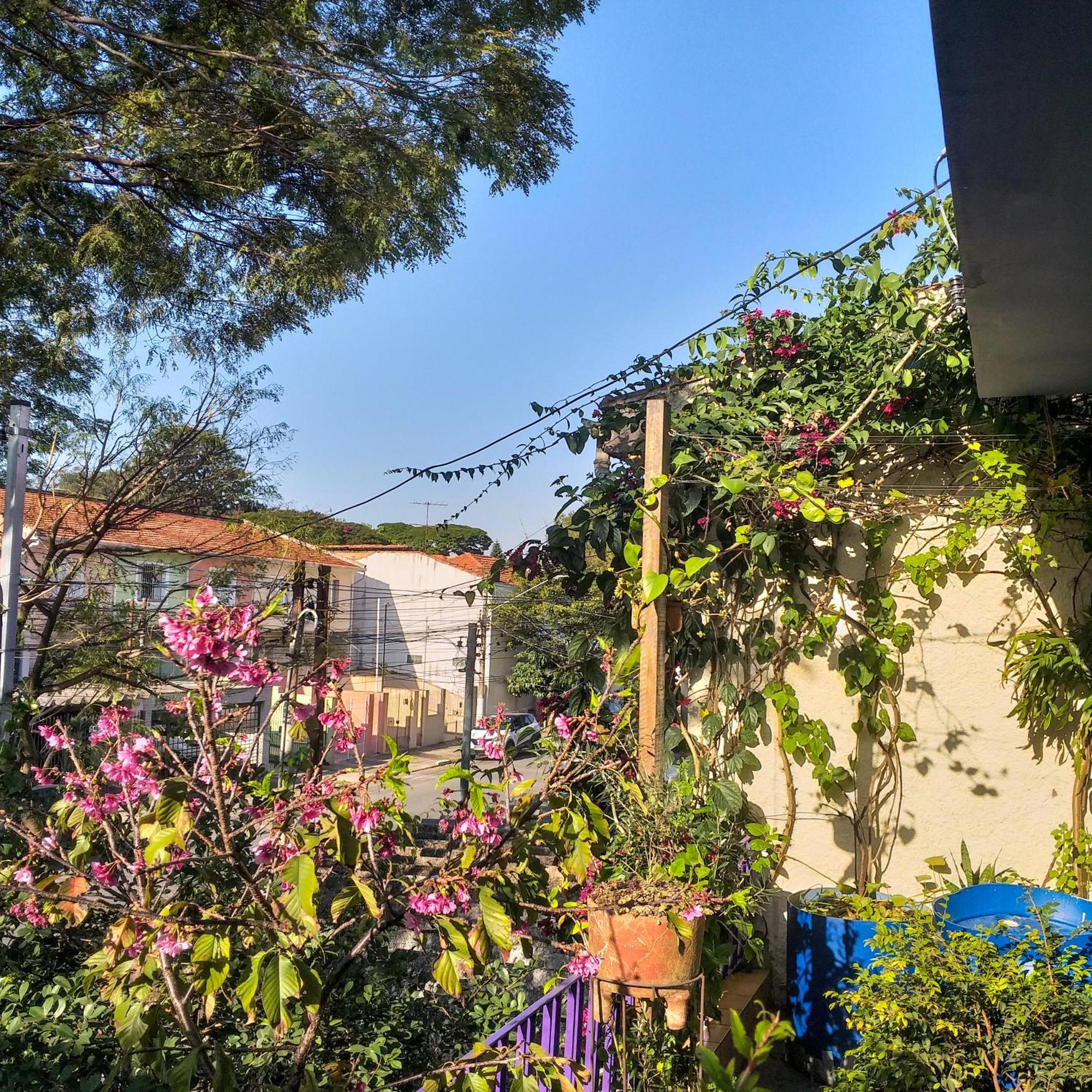 Micasa Hostel - Congonhas Сао Паоло Екстериор снимка
